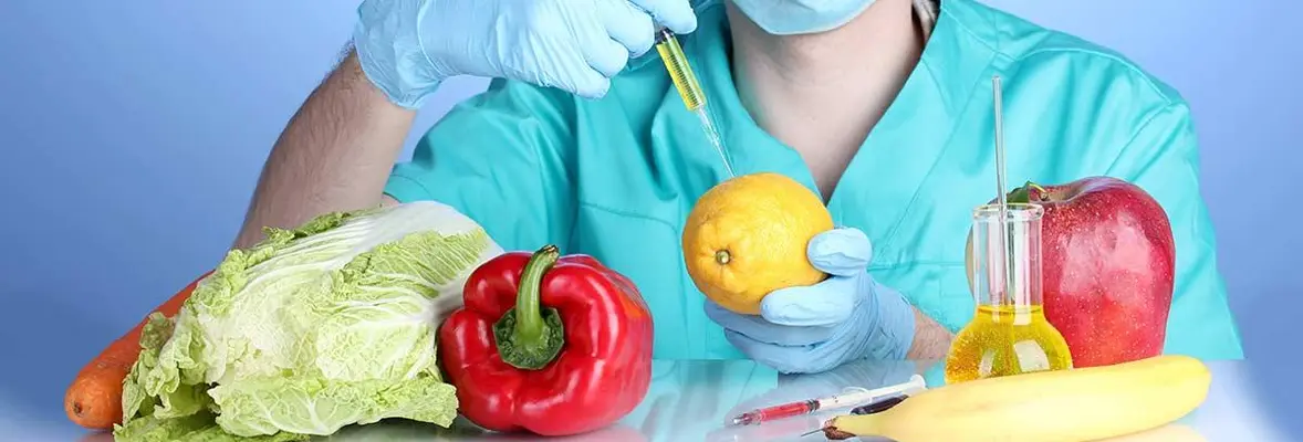 ГМО продукты и их вред для человека